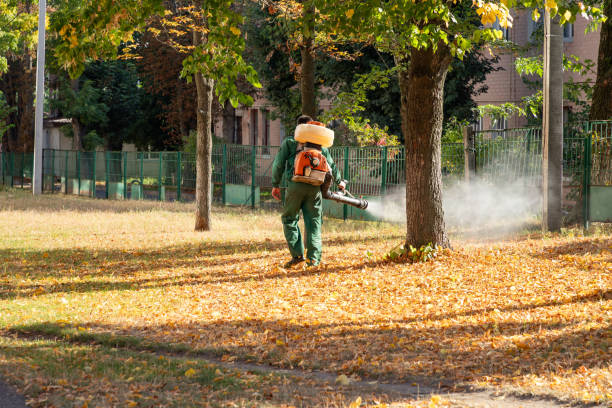 Best Best Pest Control Companies  in Greenfield, CA