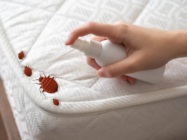 Best Flea Control Services  in Greenfield, CA