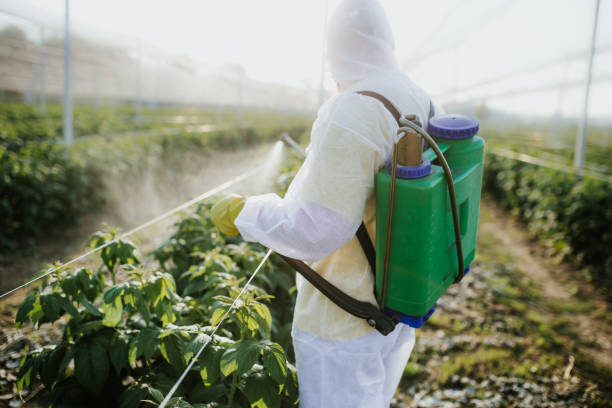 Best Best Pest Control Companies  in Greenfield, CA